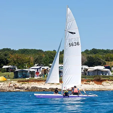 Quality Mobile Homes In Kazela メドゥリン