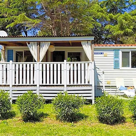 Quality Mobile Homes In Kazela 4*